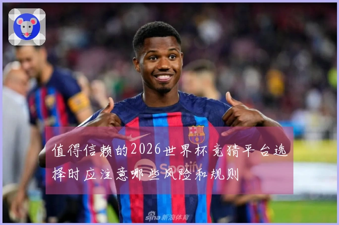 值得信赖的2026世界杯竞猜平台选择时应注意哪些风险和规则