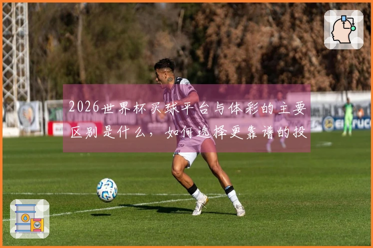 2026世界杯买球平台与体彩的主要区别是什么，如何选择更靠谱的投注途径